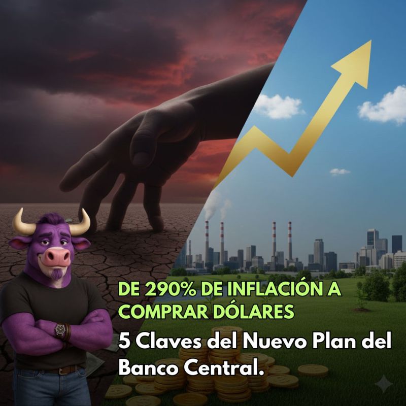 De 290% de Inflación a Comprar Dólares: 5 Claves del Nuevo Plan del Banco Central&nbsp;Argentino